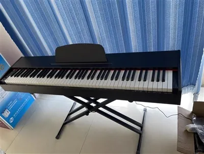 Insajderske informacije o domaćem digitalnom klavirskom krugu koje možda ne z...